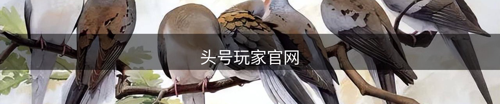 头号玩家官网